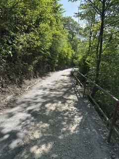 Photo de Alexander Wastian le long du parcours