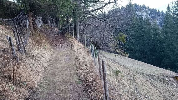 Photo from Heinz Schachner along the tour