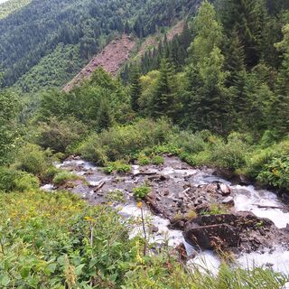 Fotografia z Helga Herbst na trase