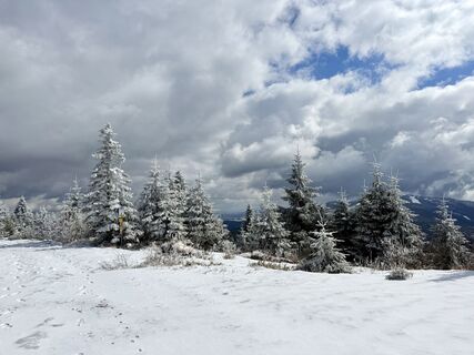 Fotografija s spletne strani Natur_erleben_dg na poti