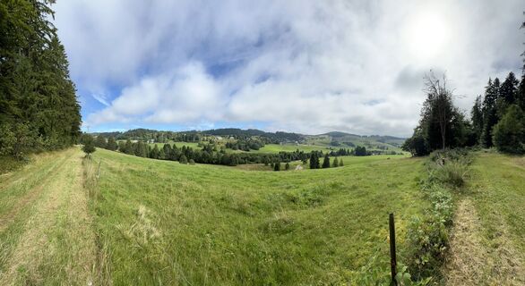 Foto van Volki F. langs de tour