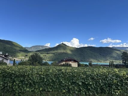 Foto von Rohkost1 entlang der Tour
