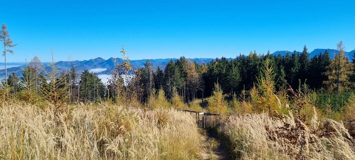 Foto von Gabi G entlang der Tour