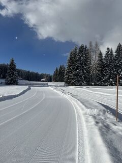 Photo de constantin hoffmann le long du parcours