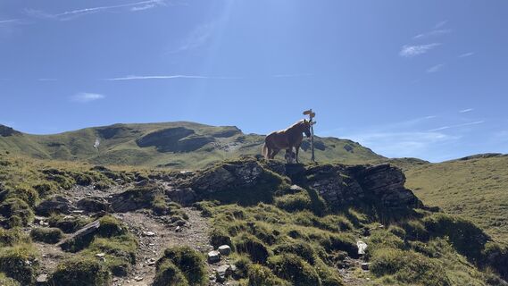 Foto fra Bas de Bruin undervejs på turen