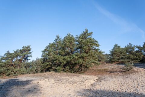 Auf der Stixer Wanderdüne