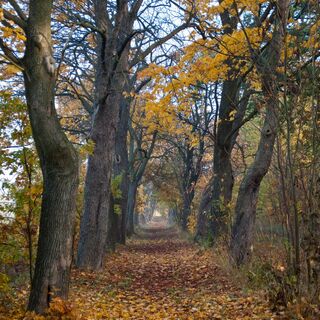 Ohrdruf Weißer Weg