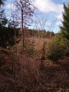 Foto fra Kessy undervejs på turen