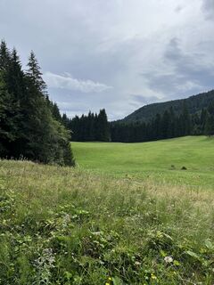 Foto von Klemens Zach entlang der Tour