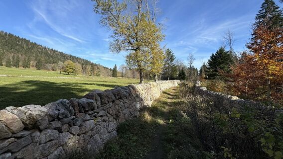 Kuva osoitteesta peter_oe matkan varrella