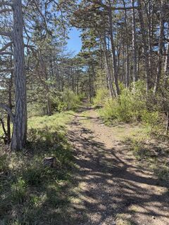 Foto de László Soós 2 a lo largo del recorrido