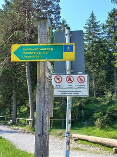 Foto von Elisabeth Majewski entlang der Tour