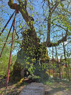 Foto de Wanderbursche66 a lo largo del recorrido