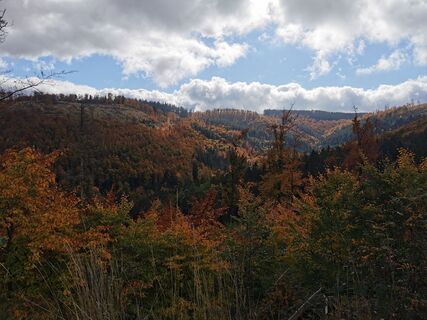 Foto von Thomas Kleinsteuber entlang der Tour
