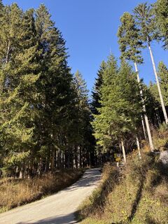 Fotografija s spletne strani Heinz Sperl na poti