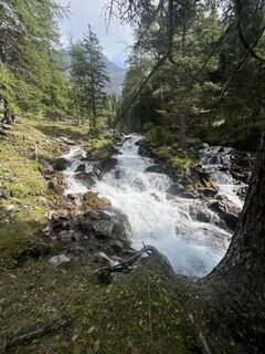 Foto från Karl Heinz Fick under resans gång