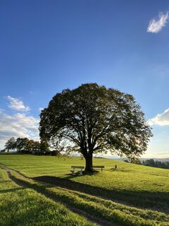 Foto von Sven Krieblin entlang der Tour