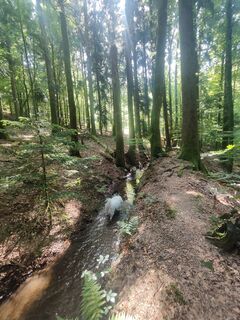Foto von Sonja Herdeg entlang der Tour