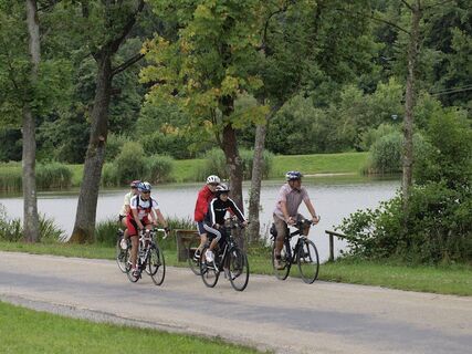 Radfahrer am Neumühlsee, Waldenburg