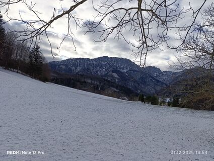 Foto von Melanie Rapperstorfer 1 entlang der Tour