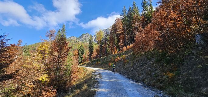 Photo de Nico le long du parcours