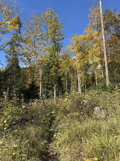 Fotó a Johann Pegrin honlapról a túra során