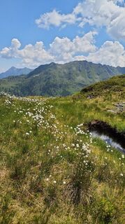 Fotografia z owspu2stk na trase