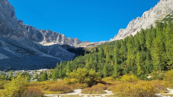 Photo de Michael Sparlund le long du parcours