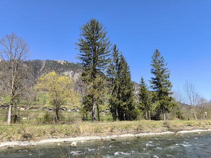 Fotografia z Urs Schmid 1 na trase