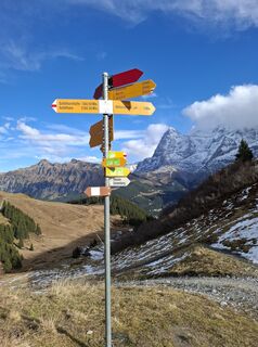 Фото с сайта Maurer Silvia во время экскурсии