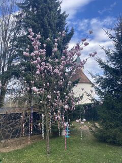 Foto von Hermann Hobelleitner entlang der Tour