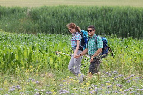 Leichte Wanderung über den Heilsberg