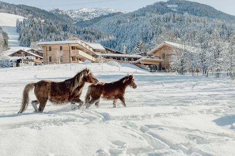 Mariengut Natur-Aparthotel