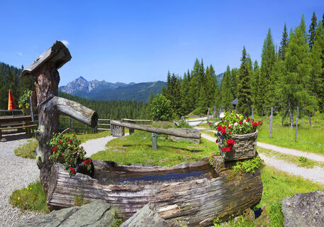 Tauernkaralm