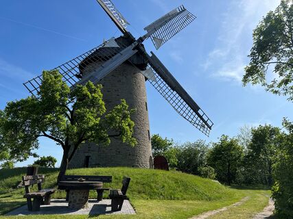 Stadt Petershagen_Seelenfeld_Evelyn Hotze_Mühle_außen_Rastplatz_Sommer_quer.jpg