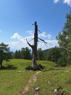 Fotografia z Dagmar Hofer na trase