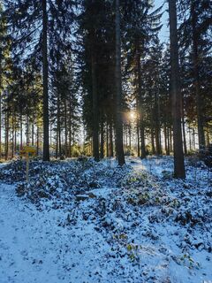 Fotografia z Jackson M. Frischauf na trase