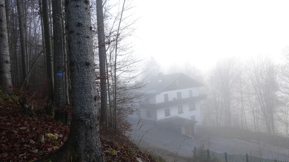Aufstieg von der Sonnwendsteinstraße