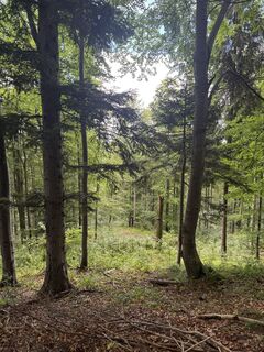 Fotografia z Rafał Perz na trase