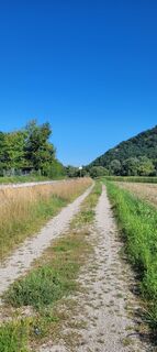 Fotografie de la Nicky de-a lungul turului