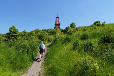 Aufstieg zur Halde Rheinpreußen