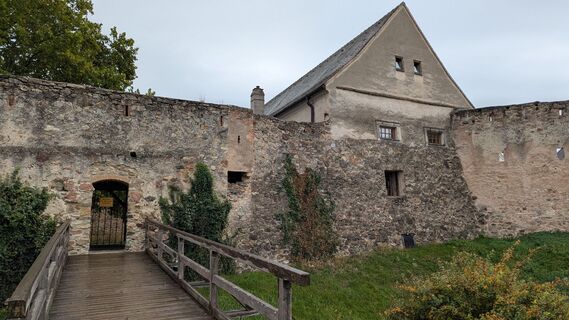 Fotografija s spletne strani Manfred Bauer na poti