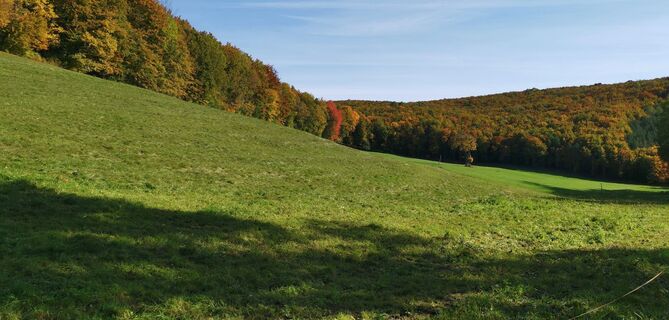 Photo from Wolfgang Suschnig along the tour