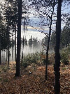 Foto von Marietta entlang der Tour