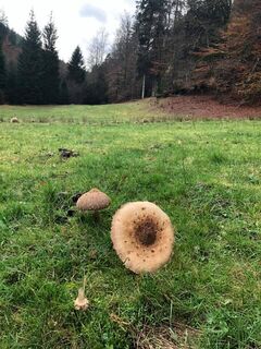 Wanderung Kälbertal im Oktober 2020