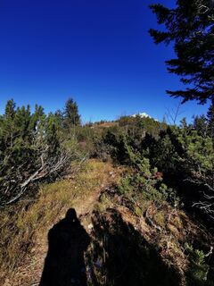 Foto von Anita Rittberger entlang der Tour