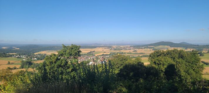 Photo de Wolf le long du parcours