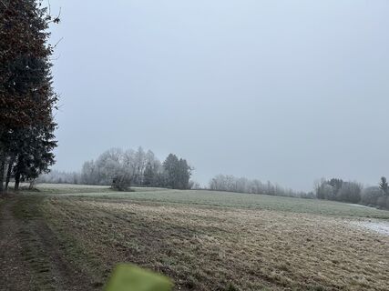 Fotografia z Babs Holz na trase