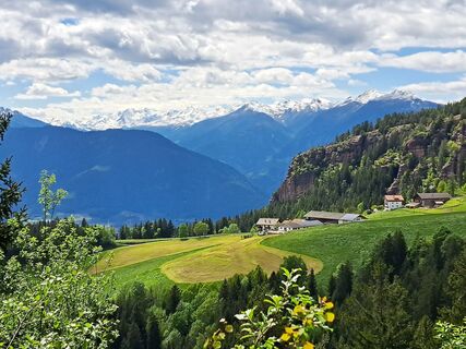 Fotografia z r55h na trase