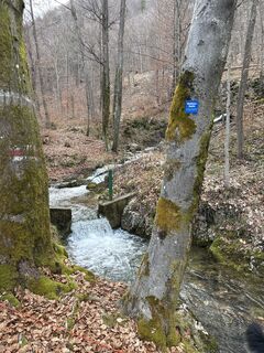 Foto von Freund der Berge entlang der Tour